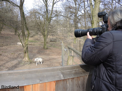 Die W�lfe und der Fotograf: Charly Swoboda