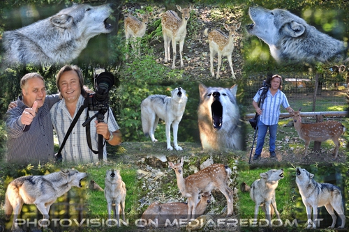 Wolf Science Center: G�nter Prangl, Charly Swoboda