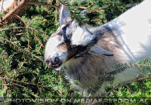 Hemmungslos Liebe 04