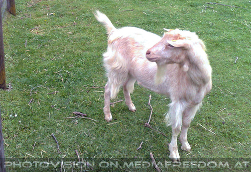 Am Land in der Stadt 03