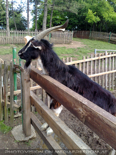 Am Land in der Stadt 14