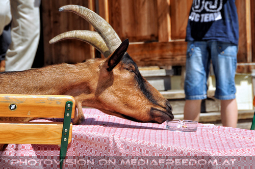 Ein Paradies f�r Tiere 37